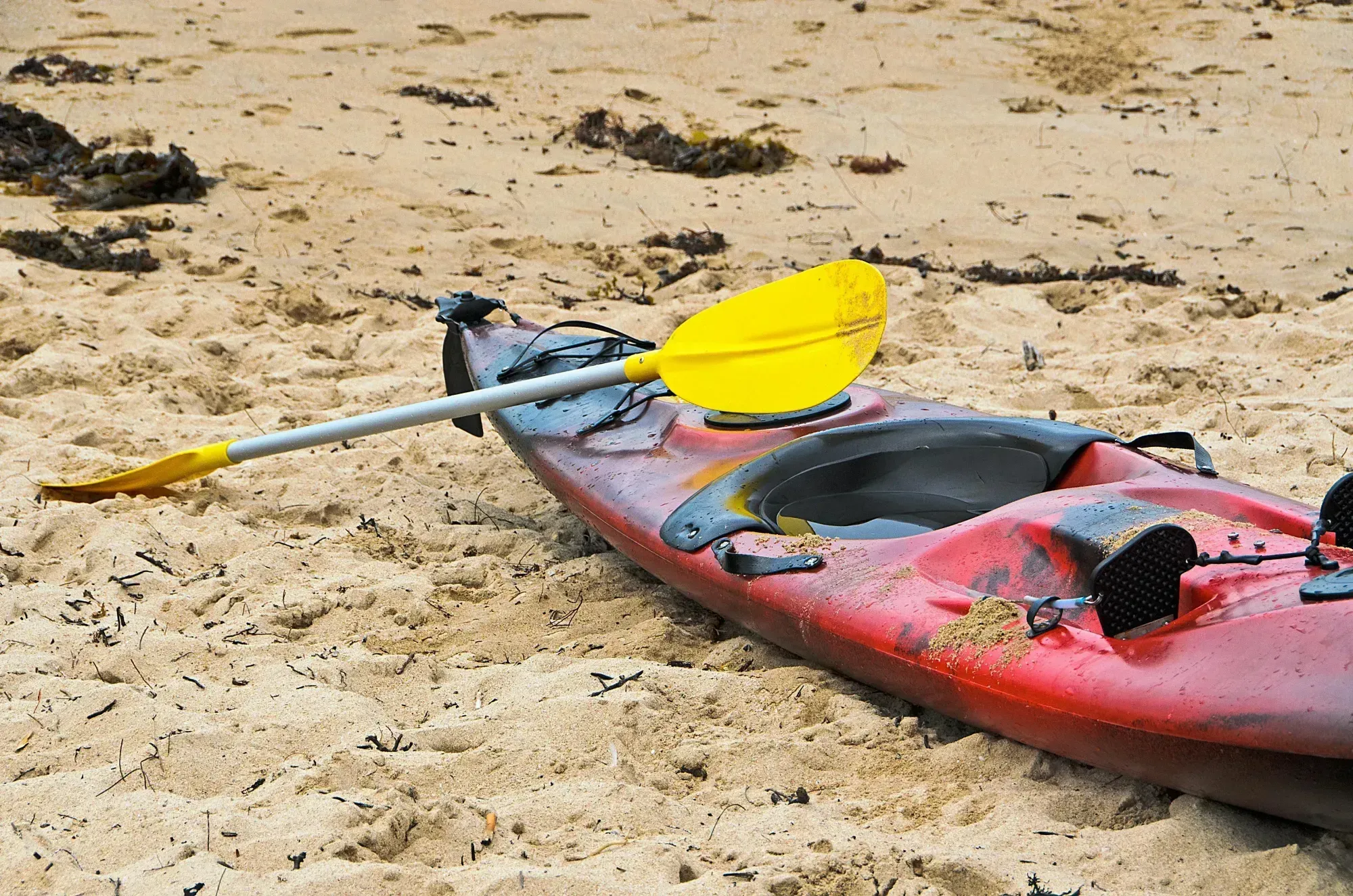Ready for a day on the water